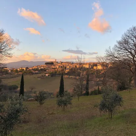 La Prospettiva Montescudaio